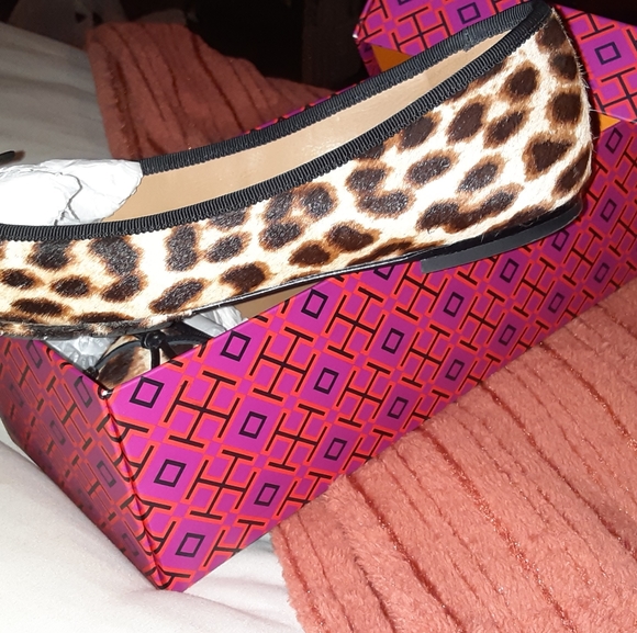 Leopard flat - Picture 3 of 5